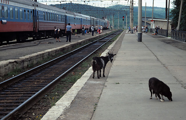 Amazar Station